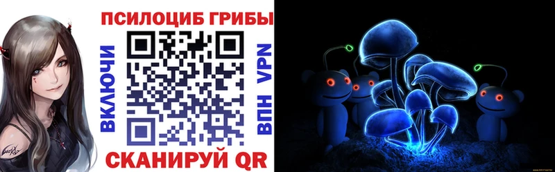 Купить Лобня Псилоцибиновые грибы Psilocybine cubensis