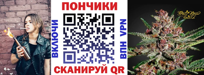 Купить где  Лобня  Каннабис сатива 